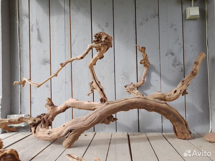 Коряги ветки лоза