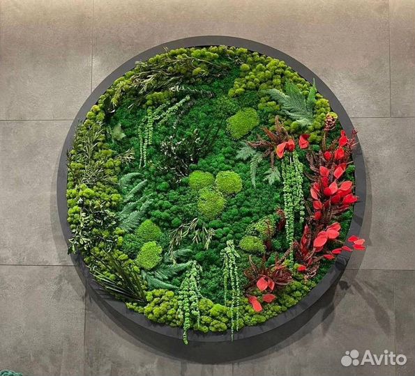 Фитостена, вертикальное озеленение