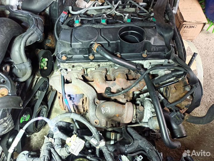 Двигатель Форд Транзит 2.4 115лс, 140лс