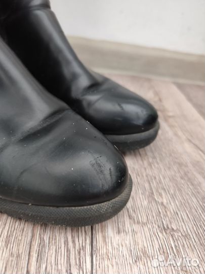 Сапоги женские