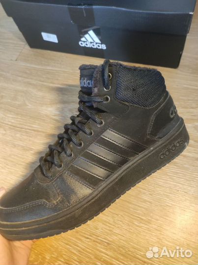 Adidas hoops 2.0 mid