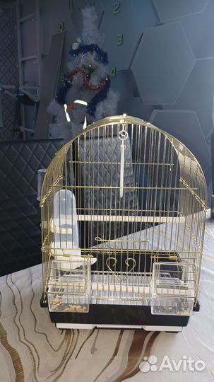 Попугай клетка