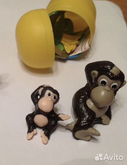 Семейки в джунглях