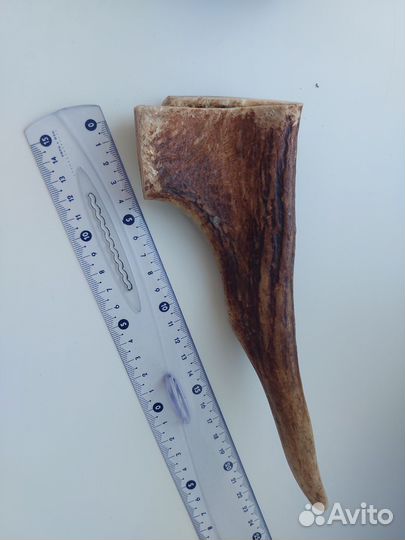 Рог для собак