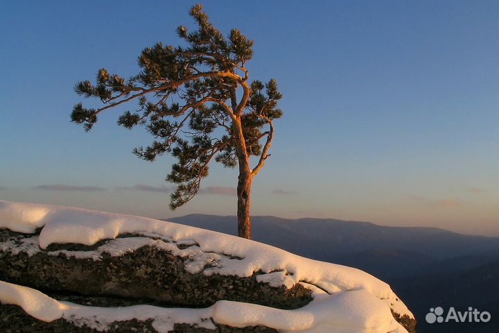 Экскурсии из Белокурихи по Алтаю