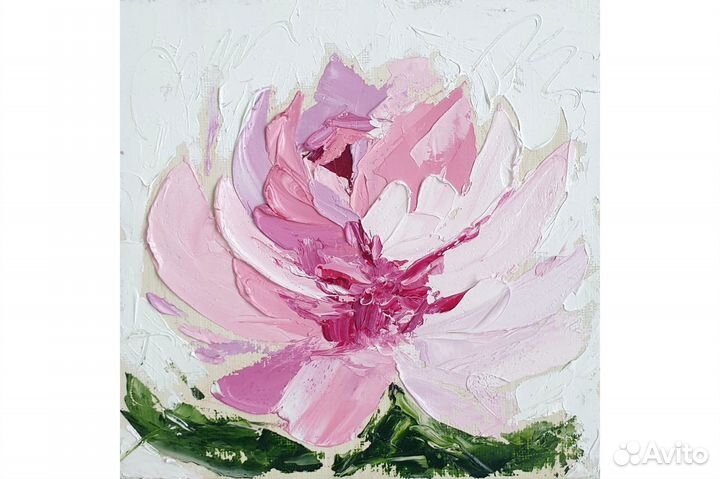 Картина Пионы маслом цветы на холсте 15х15 см