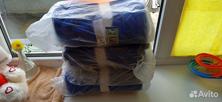 Самбовка взрослая 170