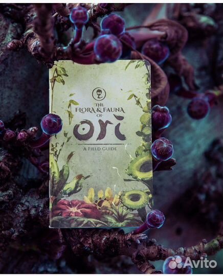 Ori Will of the Wisps / Ori Blind Forest Collector