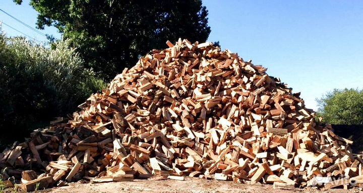 Дрова для бани