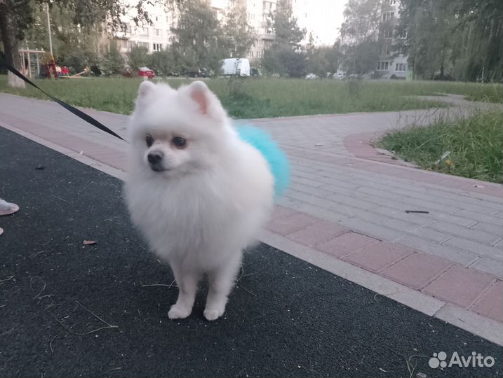 Ищет подругу