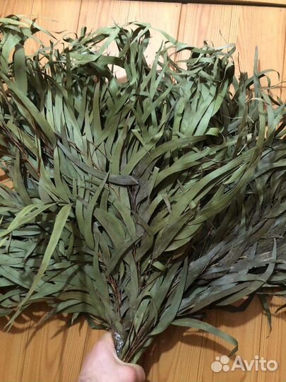 Эвкалиптовый веник