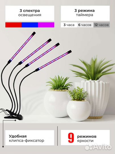 Фито лампа для растений