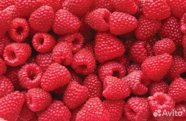 Малина ягоды