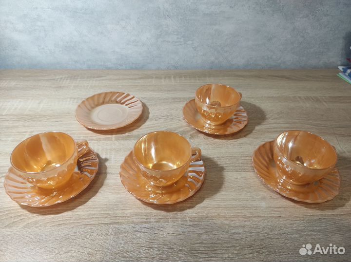 Блюдца луноцвет