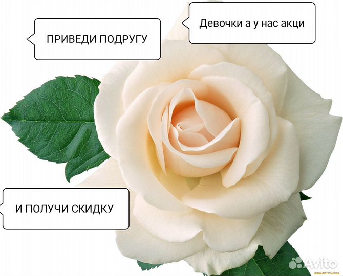 Ботокс для волос