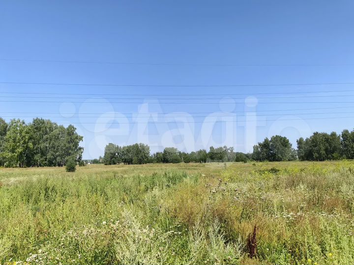 Участок 8,8 сот. (ИЖС)