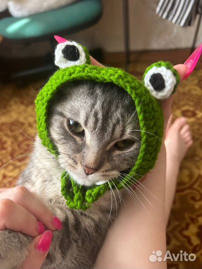 Одежда для животных