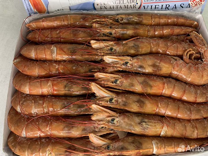 Лангустины креветки L1, L2, C1