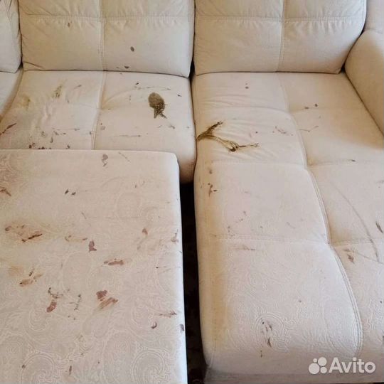 Химчистка мебели и ковров