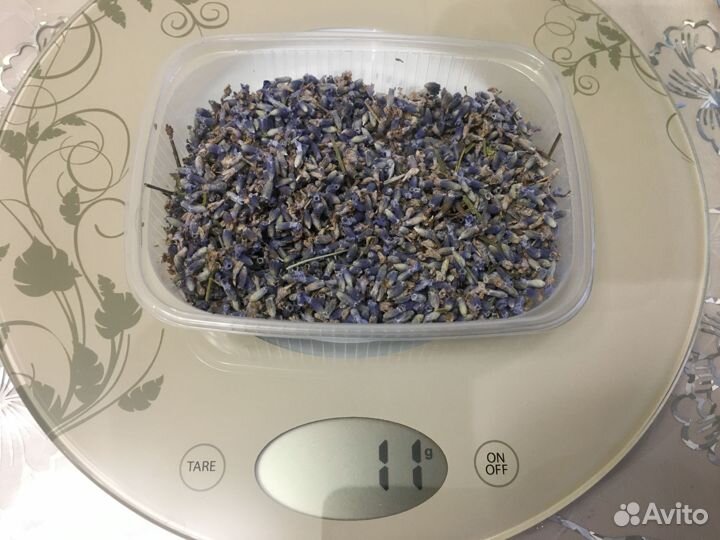 Лаванда сухоцвет россыпь