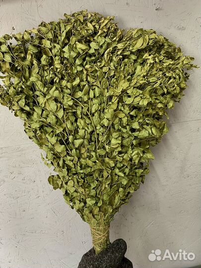 Банный веник