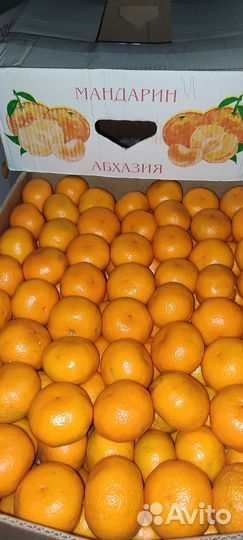 Мандарины,Яблоки