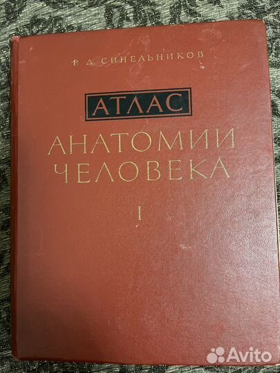 Атлас по анатомии Синельников 2 том