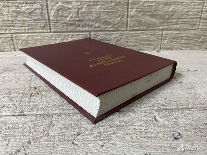 Словарь древнерусского языка XI-XIV вв. Том V