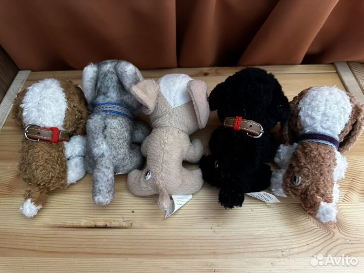 5 большеголовых собачек