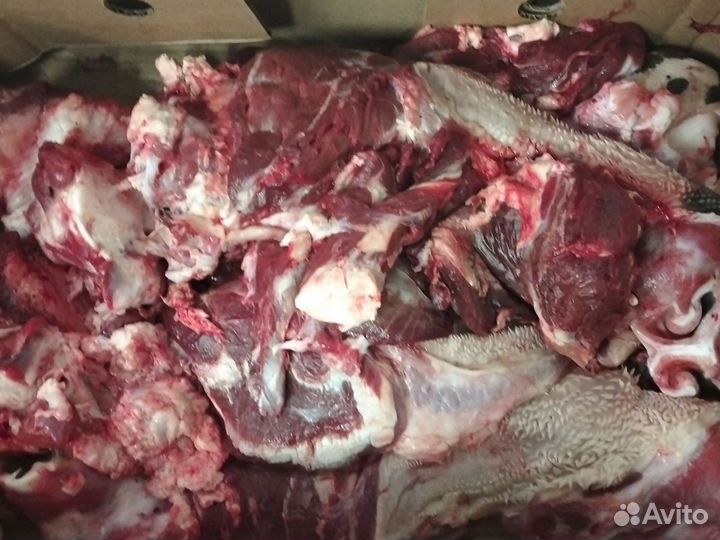 Говяжья обрезь для собак