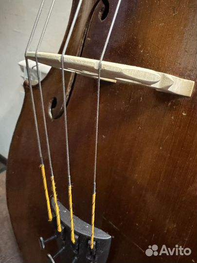 Виолончель 4/4