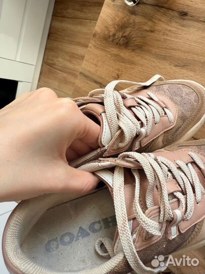Кеды coach оригинал новые armani tommy