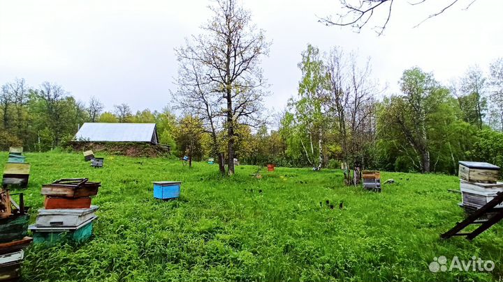 Дом с пасекой