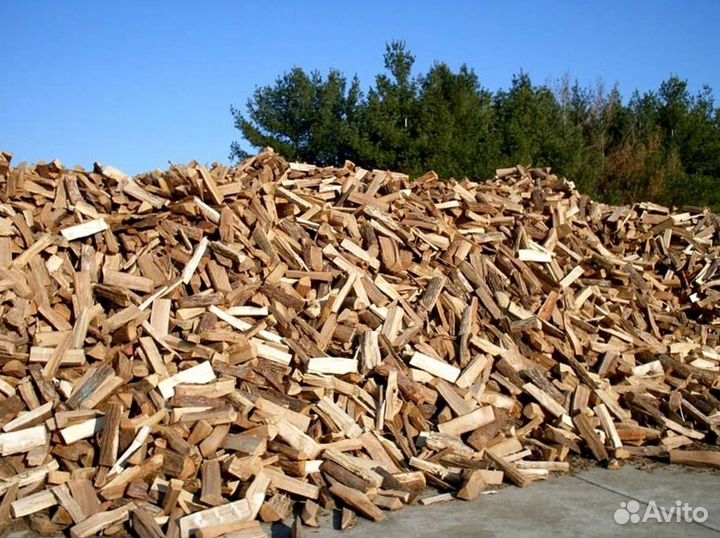 Дрова береза от производителя