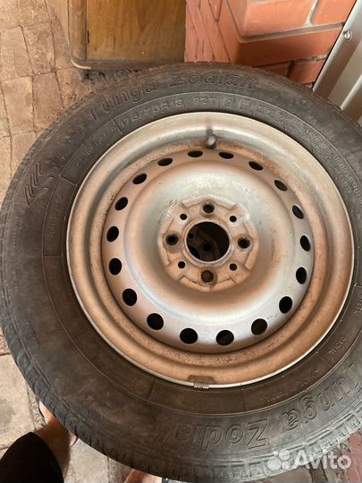 Tunga Zodiak 175/70 R13
