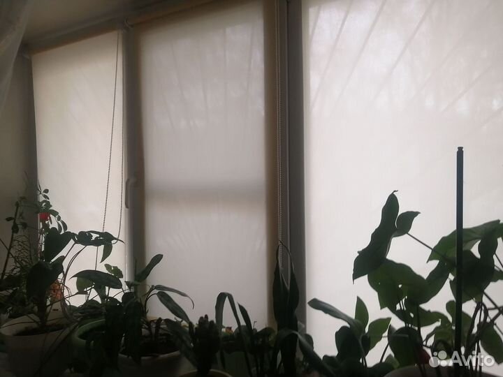 Рулонные шторы бежевые и сиреневые