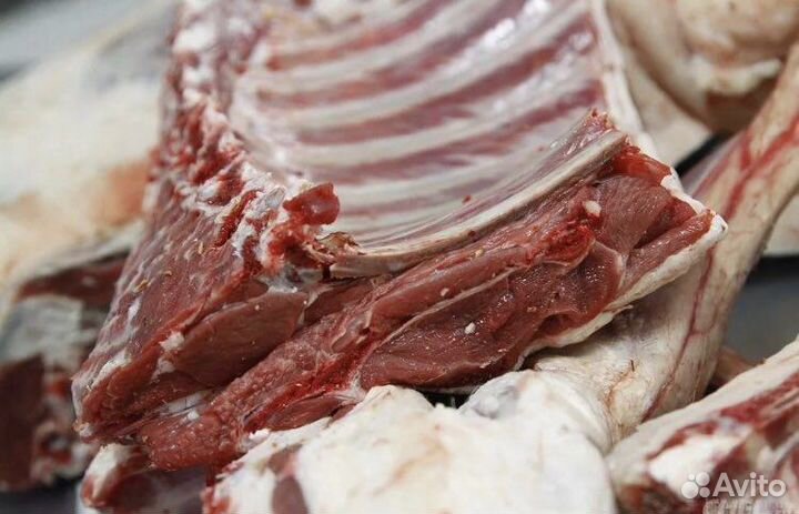 Мясо козлятина., Мясо баранины. Домашнее мясо