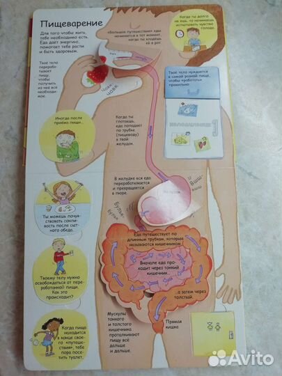 Секреты человека