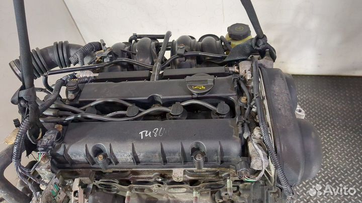 Двигатель Ford Focus 2 hxda, hxdb