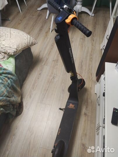 Самокат взрослый