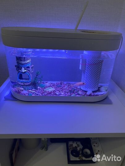 Аквариум xiaomi