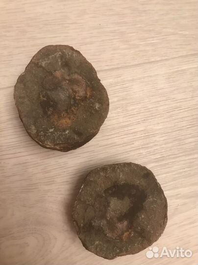 Окаменелое яйцо