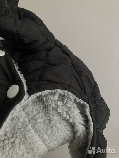 Теплый костюм для кошки или собаки s размера