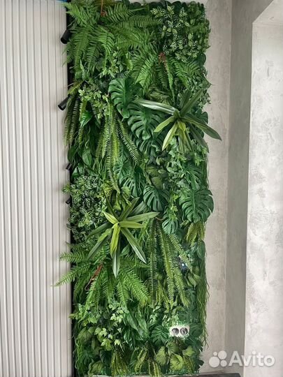 Фитокартина