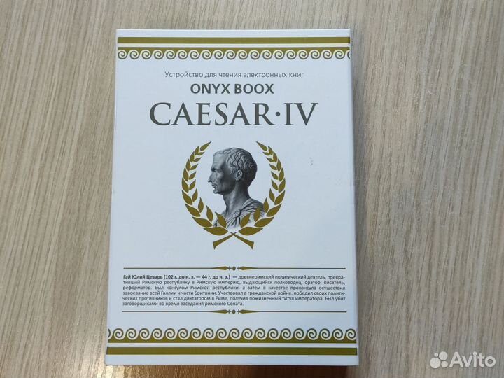 Электронная книга Onix Boox Caesar 4 IV с чехлом