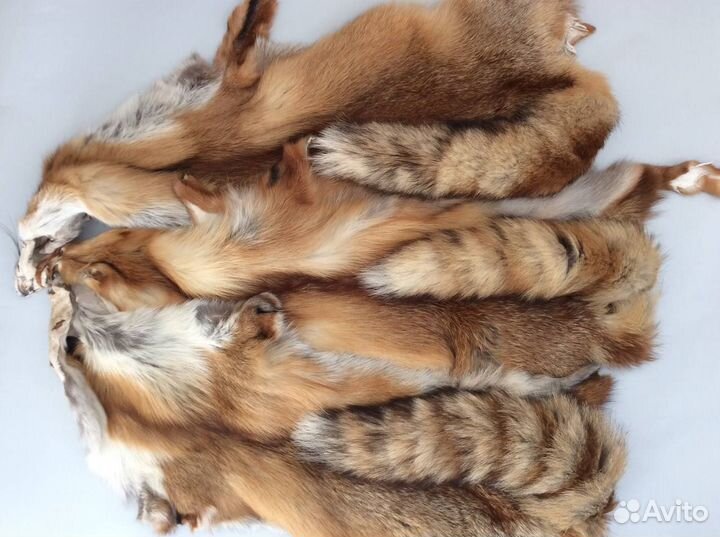 Мех рыжей лисы. Натуральный, выделанный