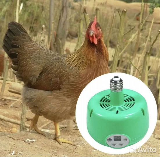 Лампа для обогрева кур