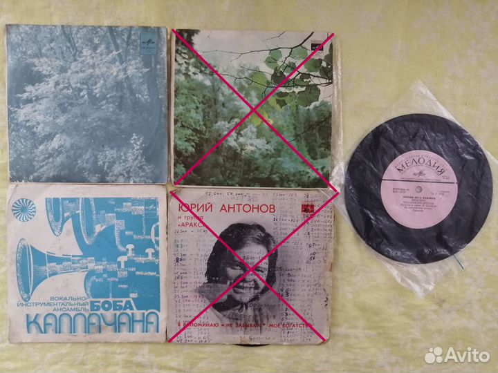 Вокалисты Россия