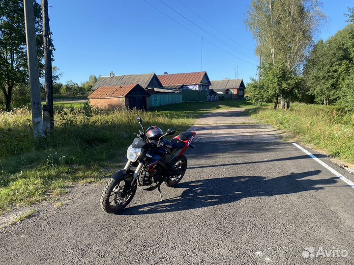 Irbis gr 250