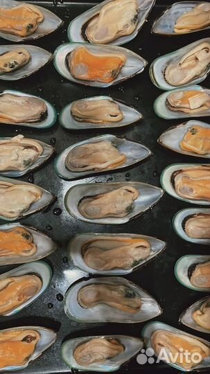 Мидии киви 1/2 раковины, мидии черные гиганты